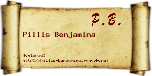 Pillis Benjamina névjegykártya